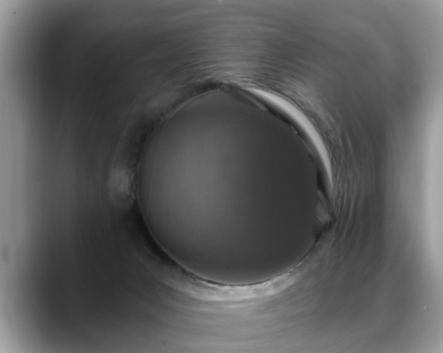 X0000088670031200706071508