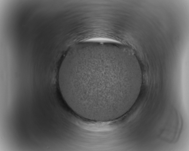 X0000088670032200706071508