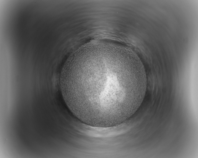 X0000088670034200706071508