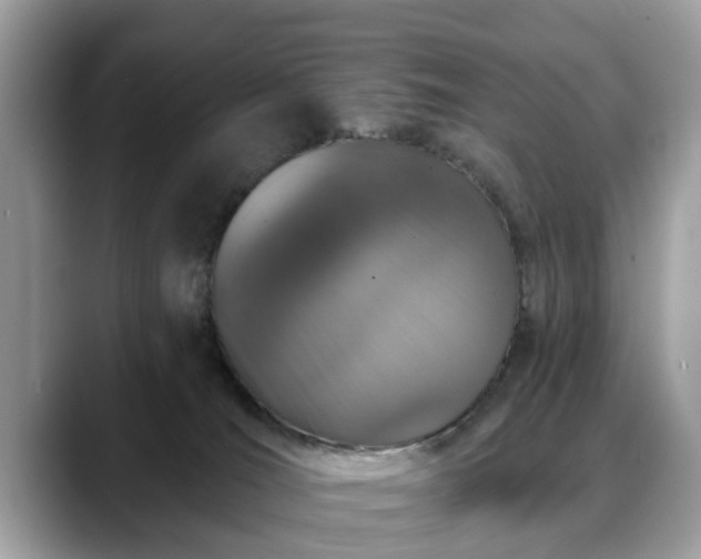 X0000088670036200706071508