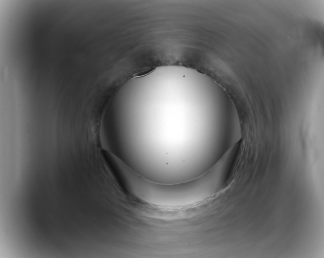 X0000088670037200706071508