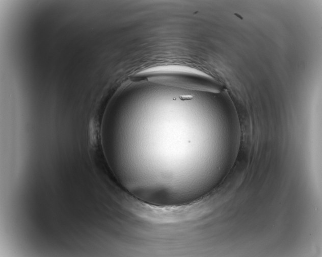 X0000088670038200706071508