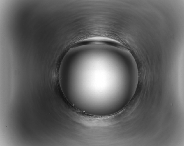 X0000088670040200706071508