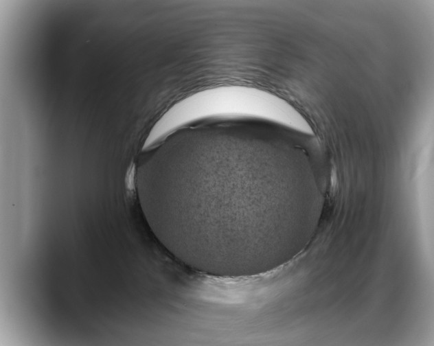 X0000088670041200706071508