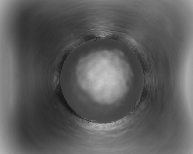 X0000088670043200706071508