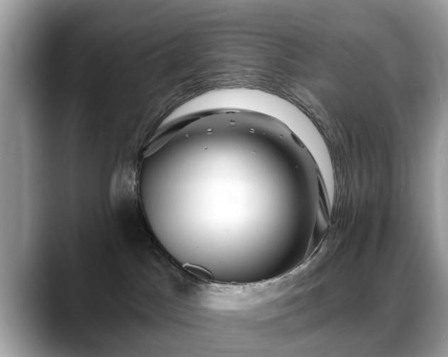 X0000088670045200706071508