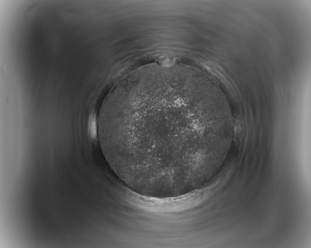 X0000088670046200706071508