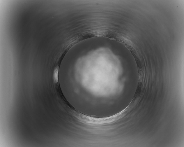 X0000088670047200706071508