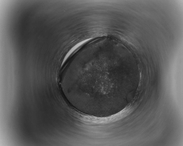 X0000088670048200706071508