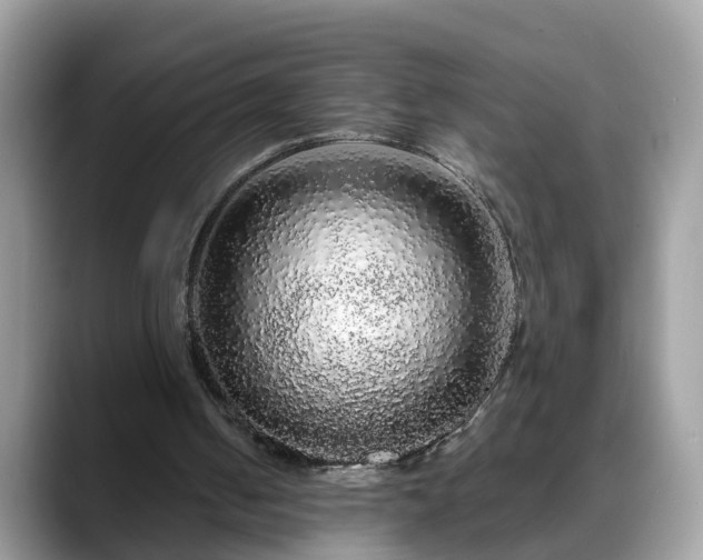 X0000088670050200706071508