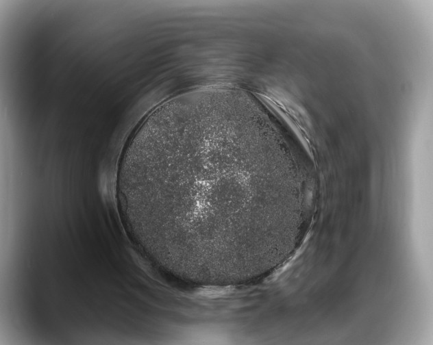 X0000088670051200706071508