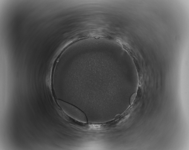 X0000088670052200706071508