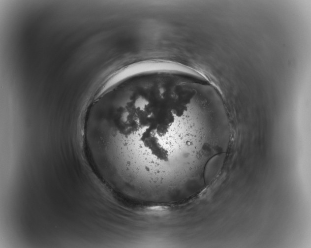 X0000088670053200706071508