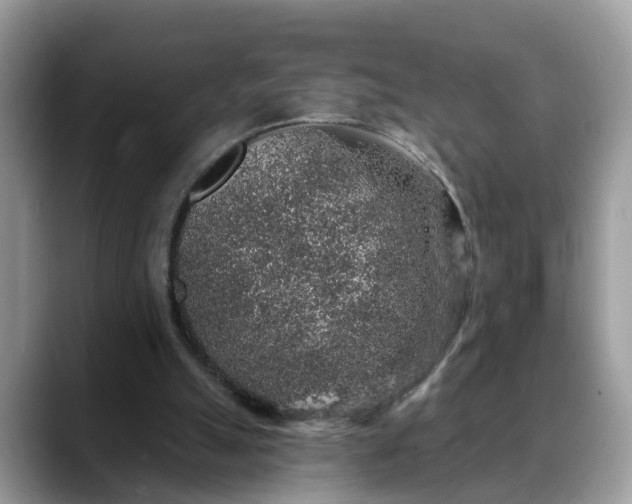 X0000088670055200706071508