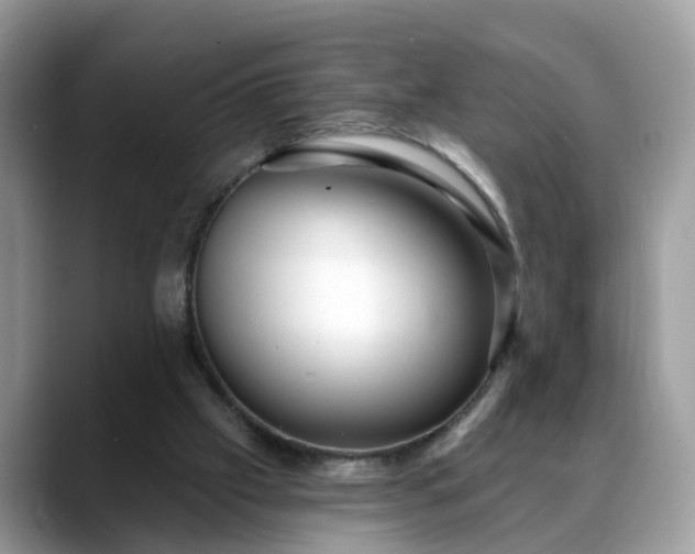 X0000088670057200706071508