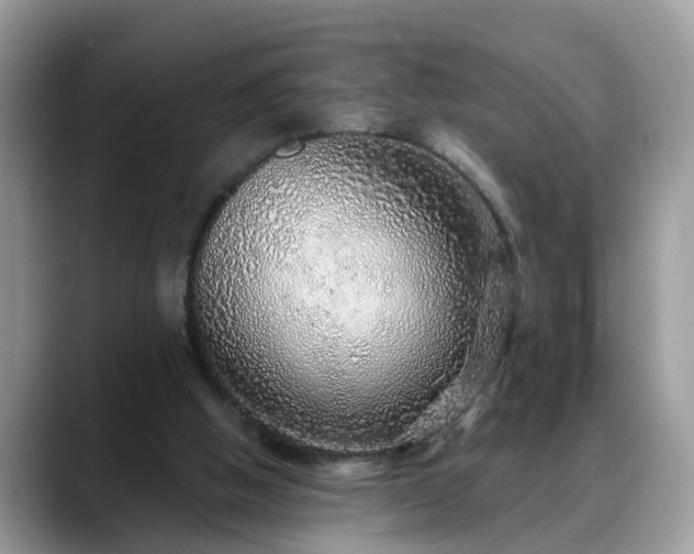 X0000088670058200706071508