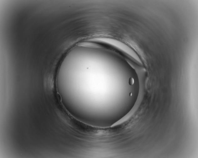 X0000088670060200706071508