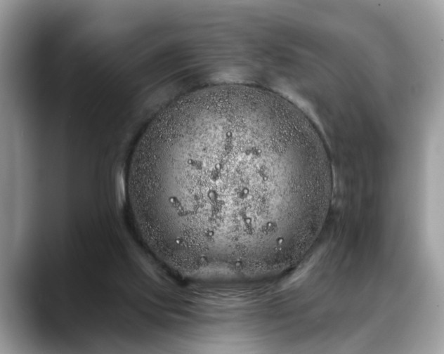 X0000088670061200706071508