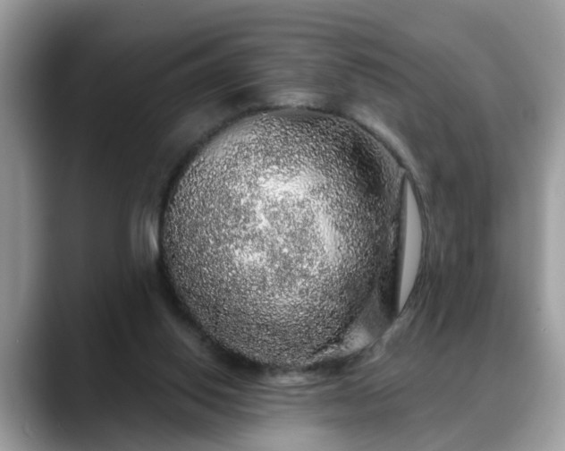 X0000088670062200706071508