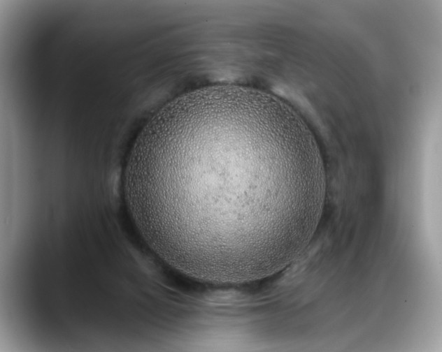 X0000088670066200706071508
