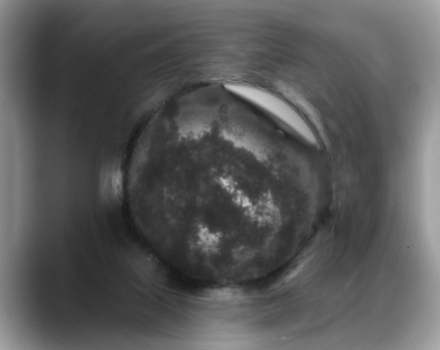 X0000088670067200706071508