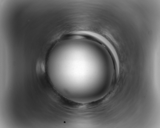X0000088670068200706071508