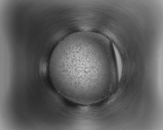 X0000088670071200706071508