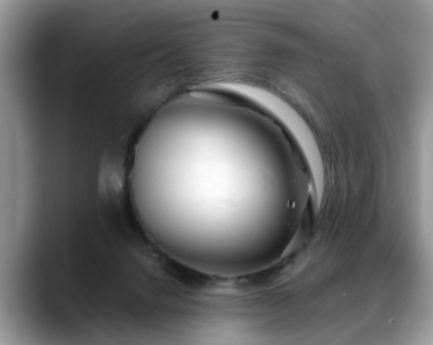 X0000088670072200706071508