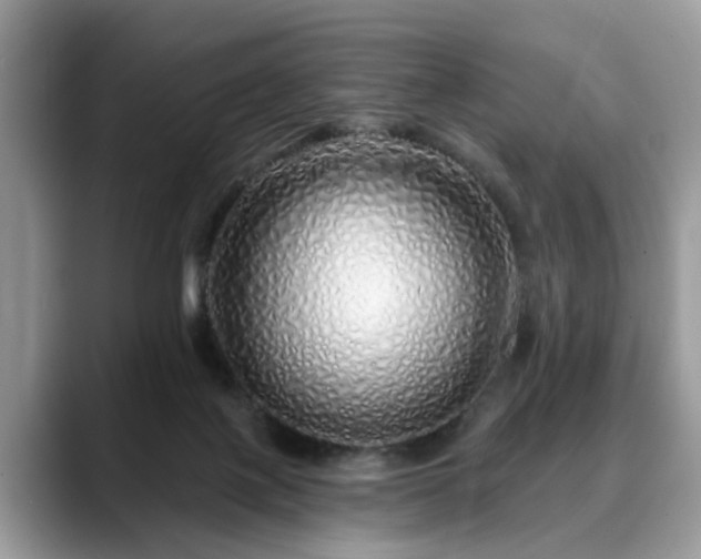 X0000088670075200706071508