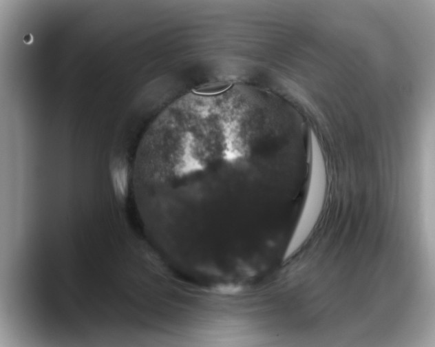 X0000088670076200706071508
