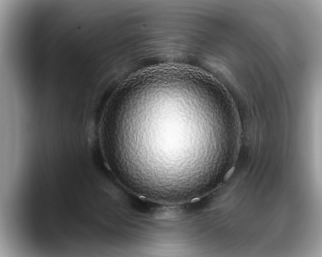 X0000088670077200706071508