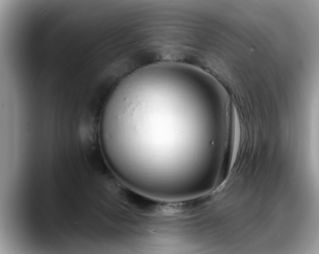 X0000088670078200706071508