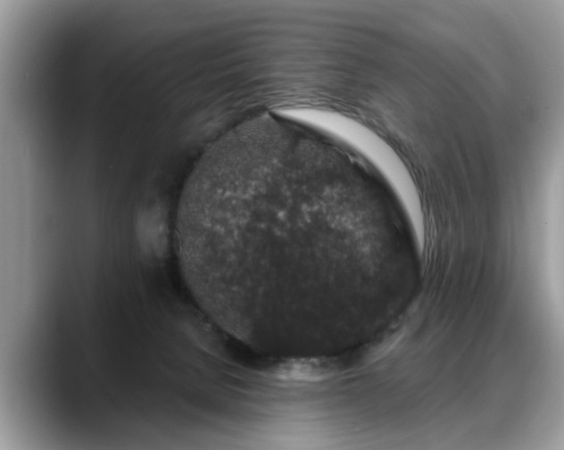X0000088670080200706071508