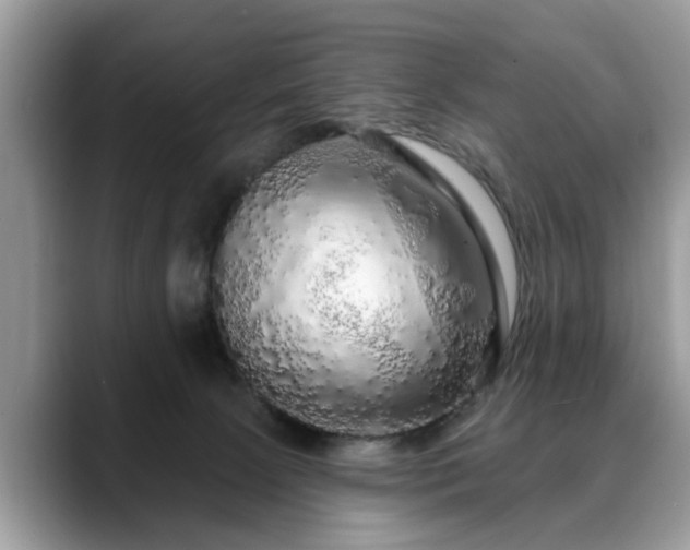 X0000088670081200706071508
