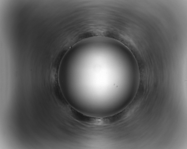 X0000088670083200706071508
