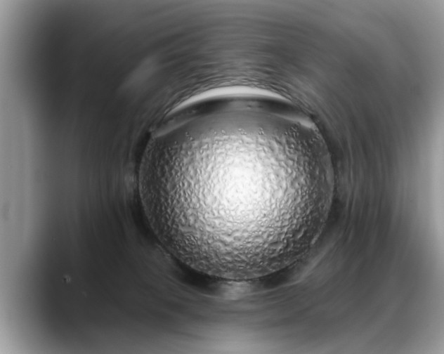 X0000088670085200706071508