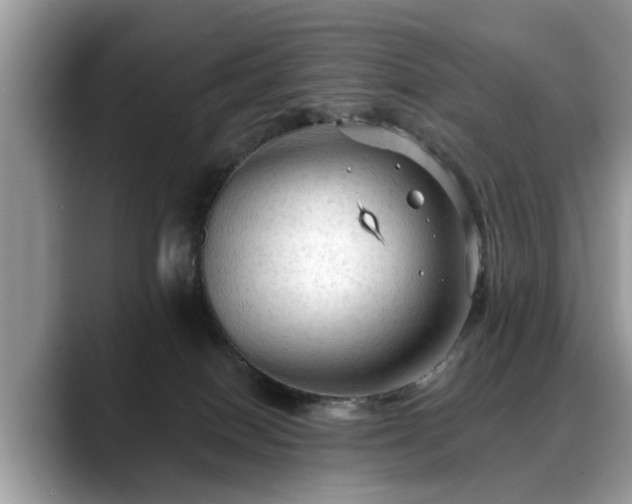 X0000088670086200706071508