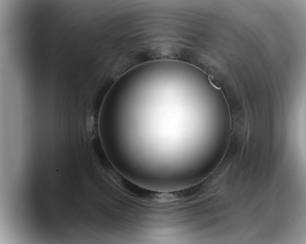 X0000088670087200706071508
