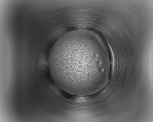 X0000088670091200706071508