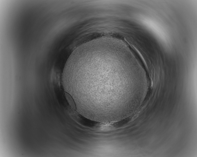 X0000088670093200706071508