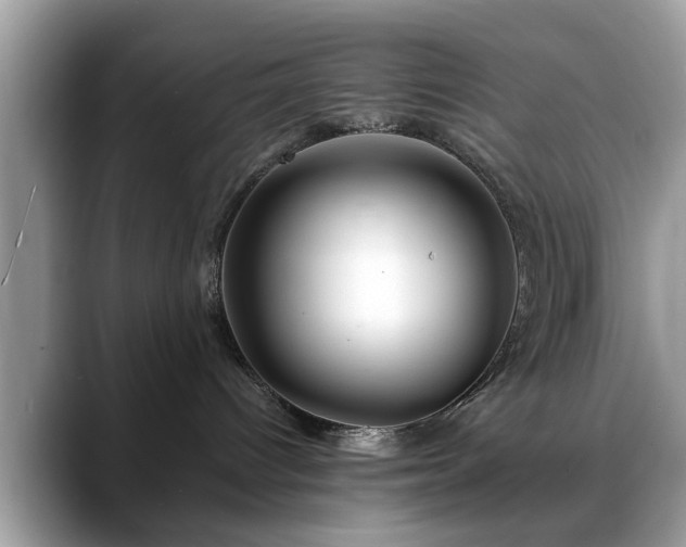 X0000088670096200706071508