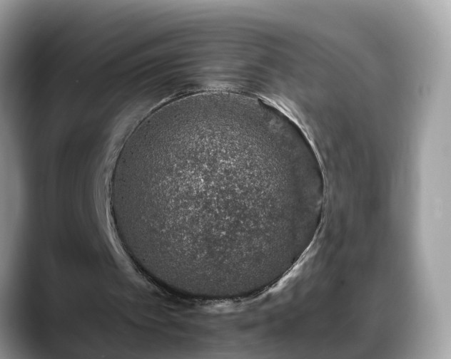 X0000088670097200706071508