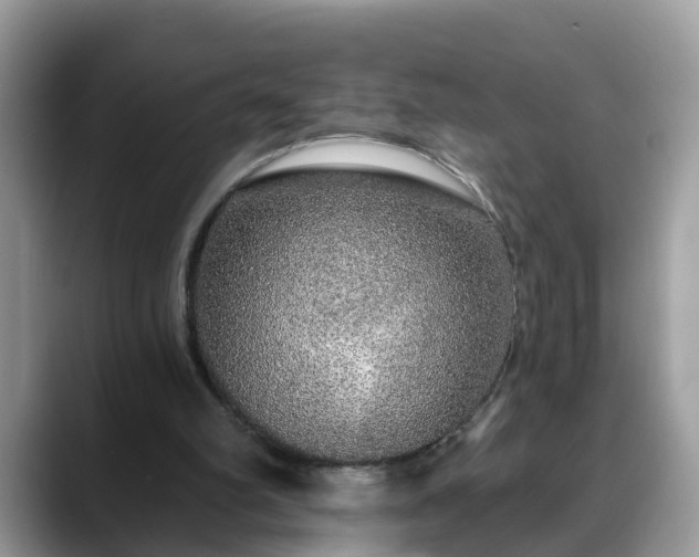 X0000088670102200706071507