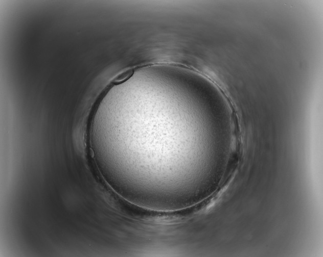 X0000088670103200706071507