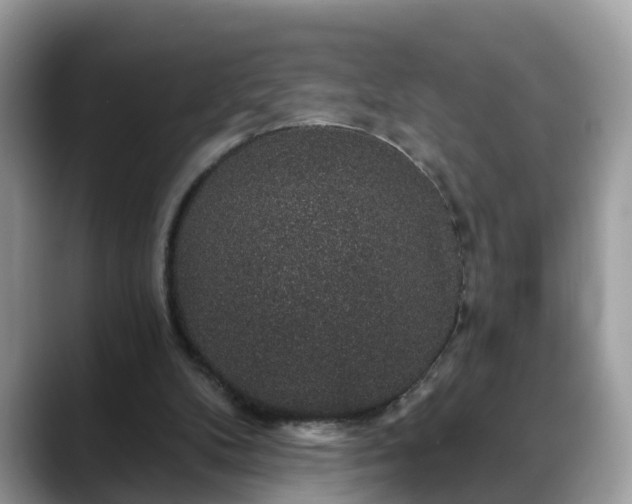 X0000088670104200706071507
