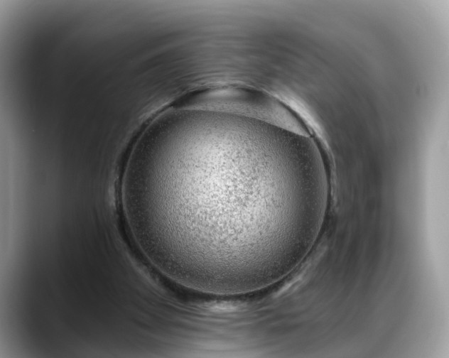 X0000088670105200706071507
