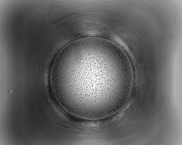 X0000088670106200706071507