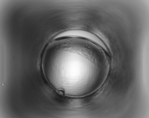 X0000088670107200706071507