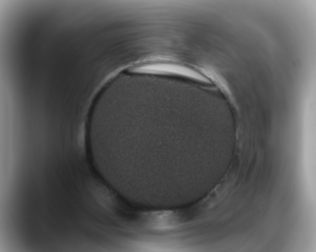 X0000088670108200706071507