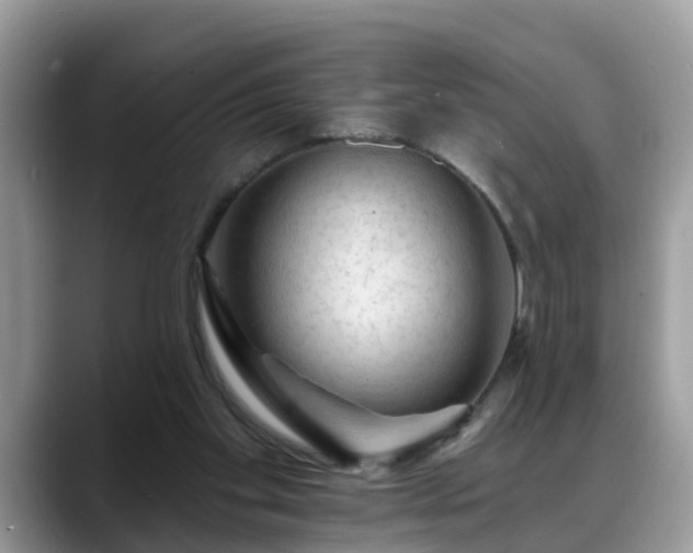 X0000088670109200706071507